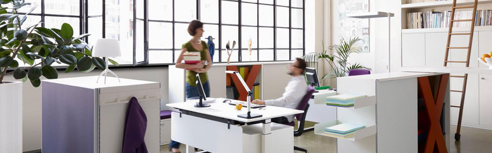 Office Space in Western Road