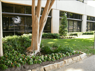 Office Space in Suite 600
4100 Spring Valley Road