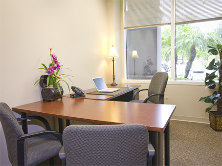 Office Space in Regus
950 South Pine Island Road