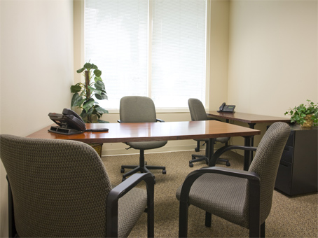 Office Space in Regus
950 South Pine Island Road