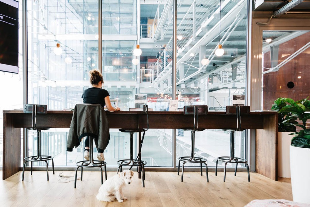 Baifu International Building Workers Stadium, Tower B, 3/F, East Road (E.) - WeWork