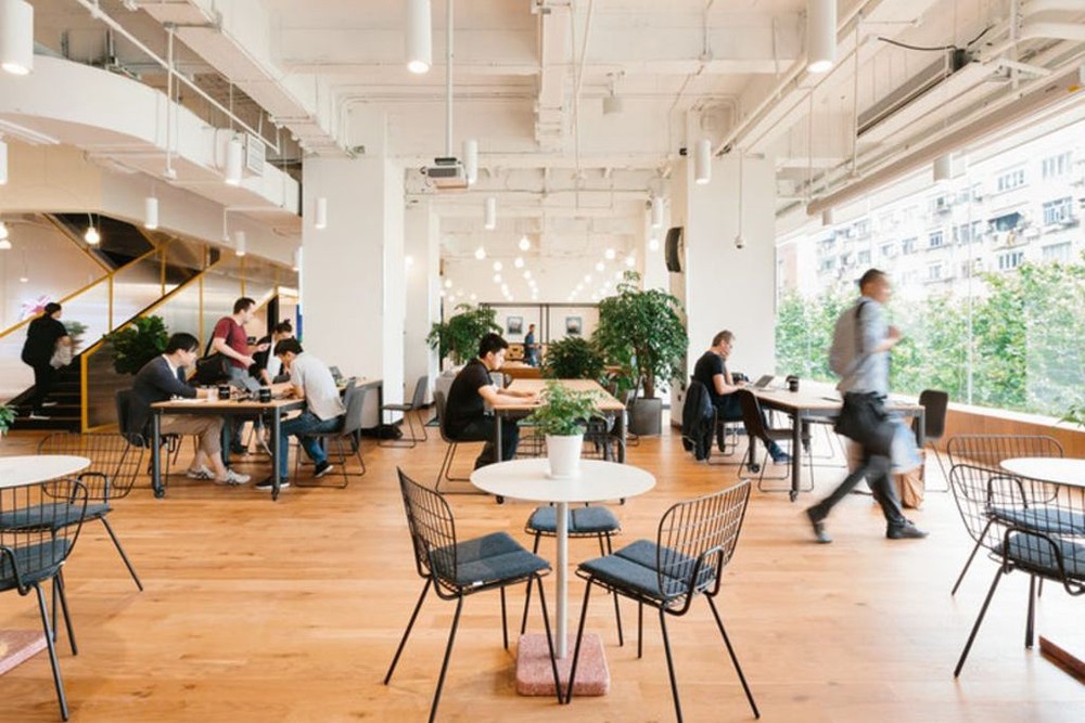 Office Space in Rua Purpurina