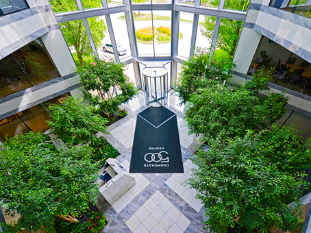 Office Space in Lake Cook Road
Suite