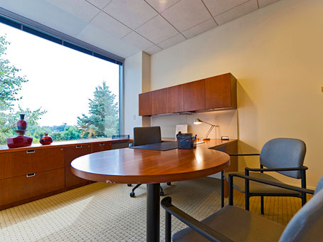 Office Space in Lake Cook Road
Suite